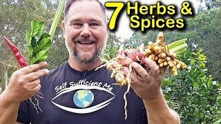 7 Easy to Grow Asian Herbs & Spices for the Organic Backyard Garden