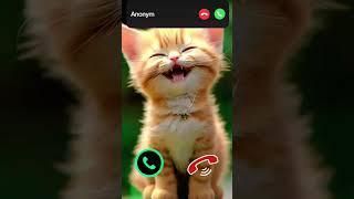 cat calling#cat #catlovers #cats #aiart #funny #animals #youtubeshorts #viralshort #trending