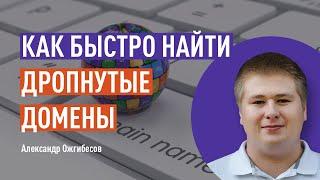 Как быстро найти дроп домены. Проверка домена на доступность. Поиск дропов. Брошенные домены