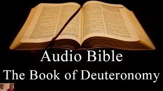 The Book of Deuteronomy - NIV Audio Holy Bible - High Quality and Best Speed - Book 5