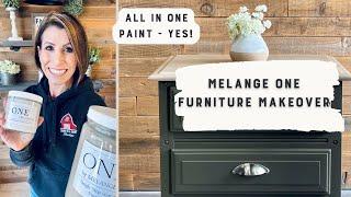 All In One Paint | The New Melange ONE Paint