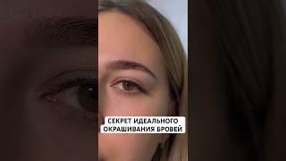 Секрет идеального окрашивания #брови