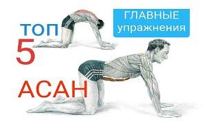 5  ГЛАВНЫХ УПРАЖНЕНИЙ. ВСЕГО 10 МИНУТ В ДЕНЬ.  Yoga ТОП 5 ГЛАВНЫХ АСАН доктора Аверьянова Игоря