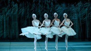 Swan Lake. White act