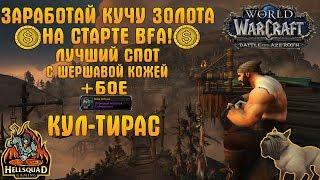 ГОЛДФАРМ WOW BFA | ЛУЧШИЙ СПОТ ДЛЯ ФАРМА ШЕРШАВОЙ КОЖИ В КУЛ-ТИРАСЕ | ФАРМ БОЕ