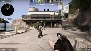 CS:GO NIP - f0rest (twitch stream) playing mm on Zoo (new map)