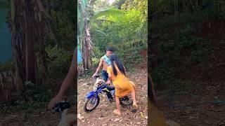Unique bicycle #diy #creative #viral #art #craft