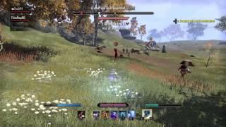 ESO v14 Magicka Sorcerer 1vX