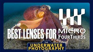 Best Underwater Lenses For Micro FourThirds