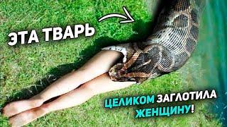 GIANT PYTHON SWALLOWED the woman Wholly! But then what happened ...