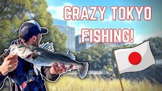 A guide to fishing in Tokyo - THE URBAN FISHING CAPITAL OF THE WORLD ️  (4K)