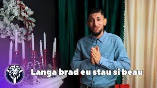 Abel Mocanu - Langa brad eu stau si beau (Videoclip Oficial) | Tanu Music