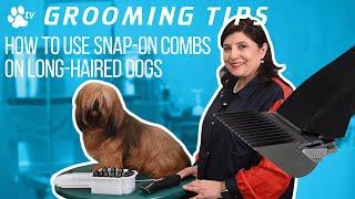 How to use snap-on combs on long-haired dogs | Grooming Tips - TRANSGROOM