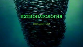 Ихтиопатология введение костиоз