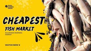 CHEAPEST PRICE FISH MARKET  || @DHALGHARACHUA