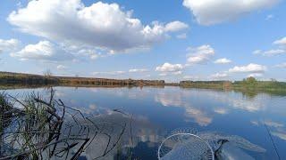 Рыбалка Тамбовская область, пруд верстовка в с.мезинец.