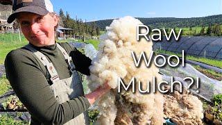 Old Farming Wisdom or Just A Weird Trend? I Had to Try It