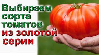 Сорта томатов с гарантированной урожайностью и вкусом.