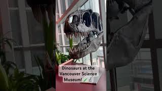 Exploring the wonders of science at the Vancouver Science Museum!  #ScienceMuseum #Vancouver"
