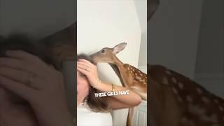 These girls have a pet baby deer 