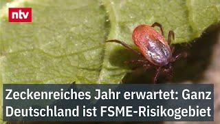 Ganz Deutschland ist FSME-Risikogebiet - Zeckenreiches Jahr erwartet