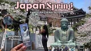 HELLO SPRING JAPANS CHERRY BLOSSOM SEASON New Business, Vegetable Gardening, Getting Prepared