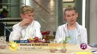 Marcus & Martinus på Sverigebesök - Nyhetsmorgon (TV4)