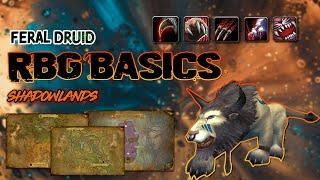 Feral Druid RBG Guide 9.1 | Talents/Role/Tips | WoW Shadowlands PVP