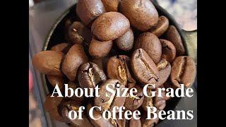 Size Grade of Coffee Beans