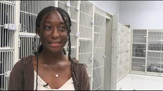 AHS Band - TigerLife Feature