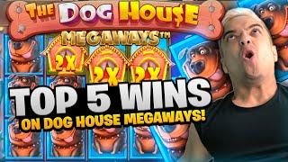 TOP 5 INSANE WINS THE DOG HOUSE MEGAWAYS