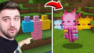 Testez TIKTOKURI FAKE cu Minecraft !