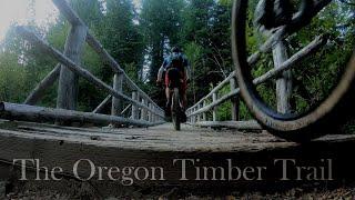 Bikepacking the Oregon Timber Trail