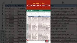 excel vlookup & match formula