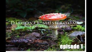 Discover Mushrooms in the PNW Documentary; Episode 1