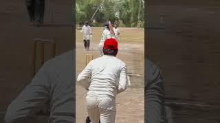 Very Good Death Bowling #hardball #cricket #hardballmatch #fastbowling