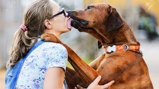 a dog kissing a lady