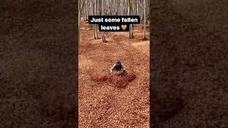 Where went the bike?