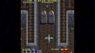 [HD] Dragon Spirit Area 9 End 1987 Namco Mame Retro Arcade Games