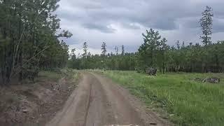 Black Hills Trails by Mystic Hills Hideaway Campground