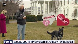 Biden’s dog Major involved in another biting incident at the White House | FOX 5 DC