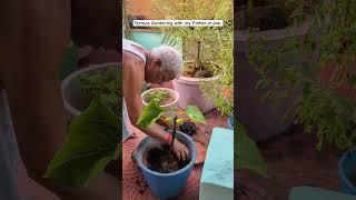 Terrace Gardening with my Father-in-law #gardening #plants #slowliving #lifestyle #home