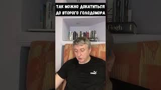 Украинская модель пожирает сама себя, а Россия сделает все для нового Голодомора. Юрий Романенко