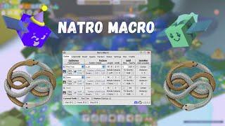 The ULTIMATE Natro Macro guide (BSS)