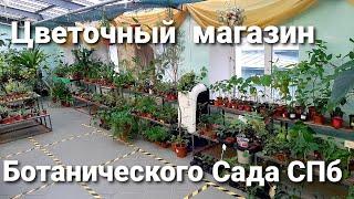 Магазин растений Ботанического Сада/ Мои очередные новички