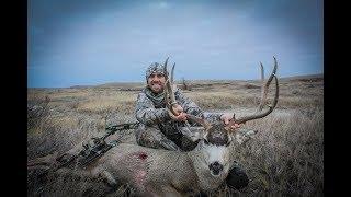 Big Bear Outdoors- Public Land Archery South Dakota Mule Deer