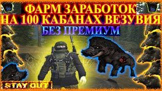 Stay Out - ФАРМ ЗАРАБОТОК БЕЗ ПРЕМИУМ | 100 КАБАНОВ НА ВЕЗУВИИ | Сталкер Онлайн | Stalker Online #49