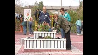 Вальс цветов