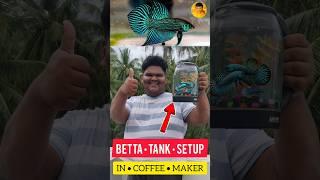 BETTA FISH  TANK SETUP IN COFFEE MAKER  DIY | #jeelanivlogger #aquarium #tanksetup