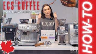 Espresso Basics & Terminology for Dummies | A Full Breakdown